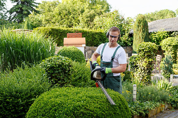 Best Pest Control for Lawns  in Wildwood Crest, NJ